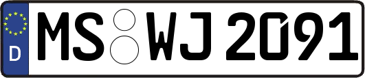 MS-WJ2091