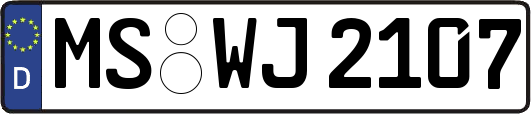 MS-WJ2107
