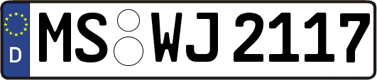 MS-WJ2117