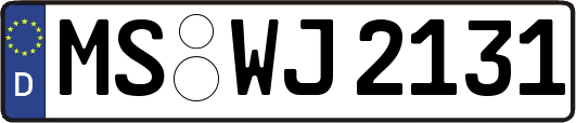 MS-WJ2131
