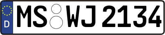 MS-WJ2134