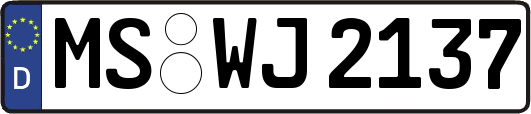 MS-WJ2137
