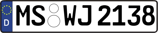 MS-WJ2138