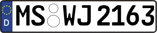 MS-WJ2163