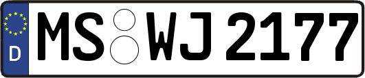 MS-WJ2177