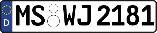 MS-WJ2181