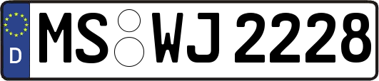 MS-WJ2228