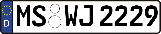 MS-WJ2229