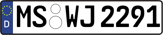 MS-WJ2291
