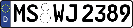 MS-WJ2389