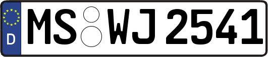 MS-WJ2541