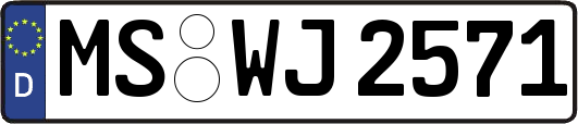 MS-WJ2571