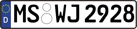 MS-WJ2928