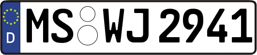 MS-WJ2941
