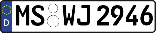 MS-WJ2946