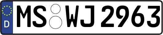 MS-WJ2963