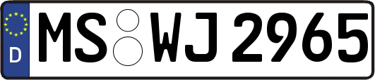 MS-WJ2965