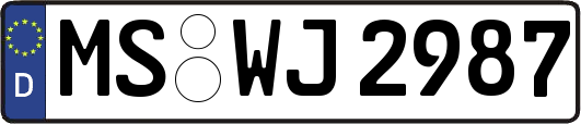 MS-WJ2987