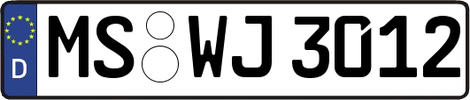 MS-WJ3012