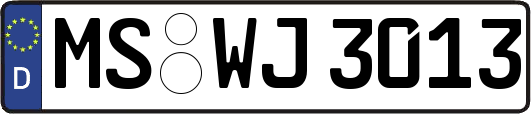 MS-WJ3013