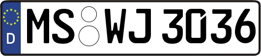 MS-WJ3036