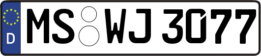MS-WJ3077