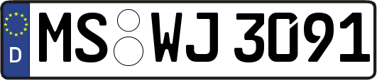 MS-WJ3091