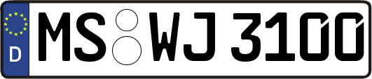 MS-WJ3100