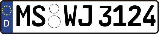 MS-WJ3124