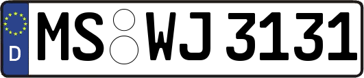 MS-WJ3131