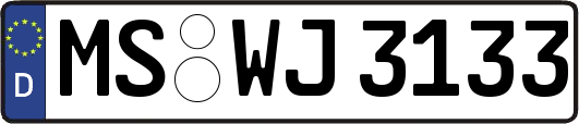 MS-WJ3133