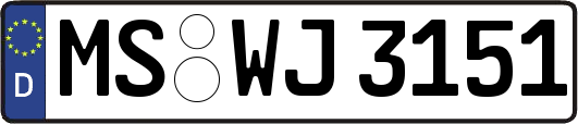 MS-WJ3151