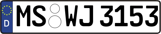 MS-WJ3153