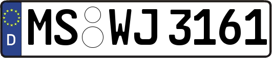 MS-WJ3161