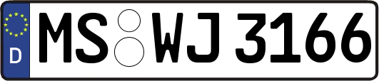 MS-WJ3166
