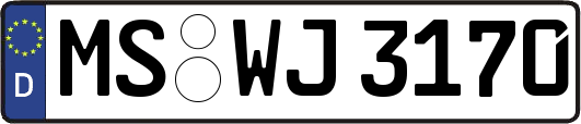 MS-WJ3170