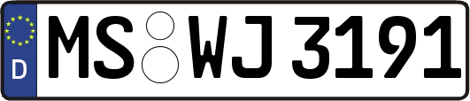 MS-WJ3191