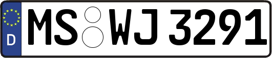 MS-WJ3291