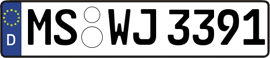 MS-WJ3391