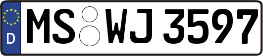 MS-WJ3597