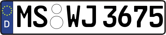MS-WJ3675
