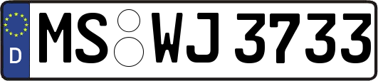 MS-WJ3733