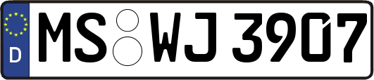 MS-WJ3907