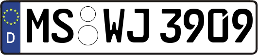 MS-WJ3909