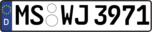 MS-WJ3971