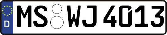 MS-WJ4013