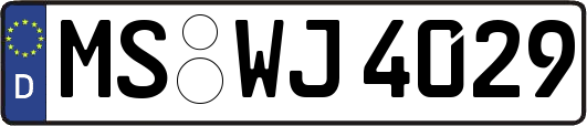 MS-WJ4029
