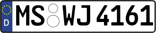 MS-WJ4161