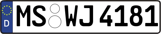 MS-WJ4181