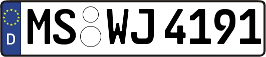 MS-WJ4191